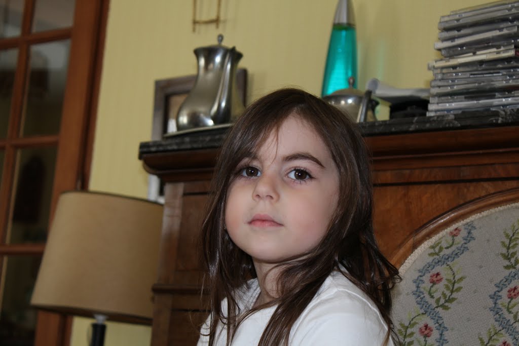 IMG 0784